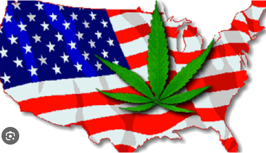 Are all  CBD/Hemp shops just going to disappear?